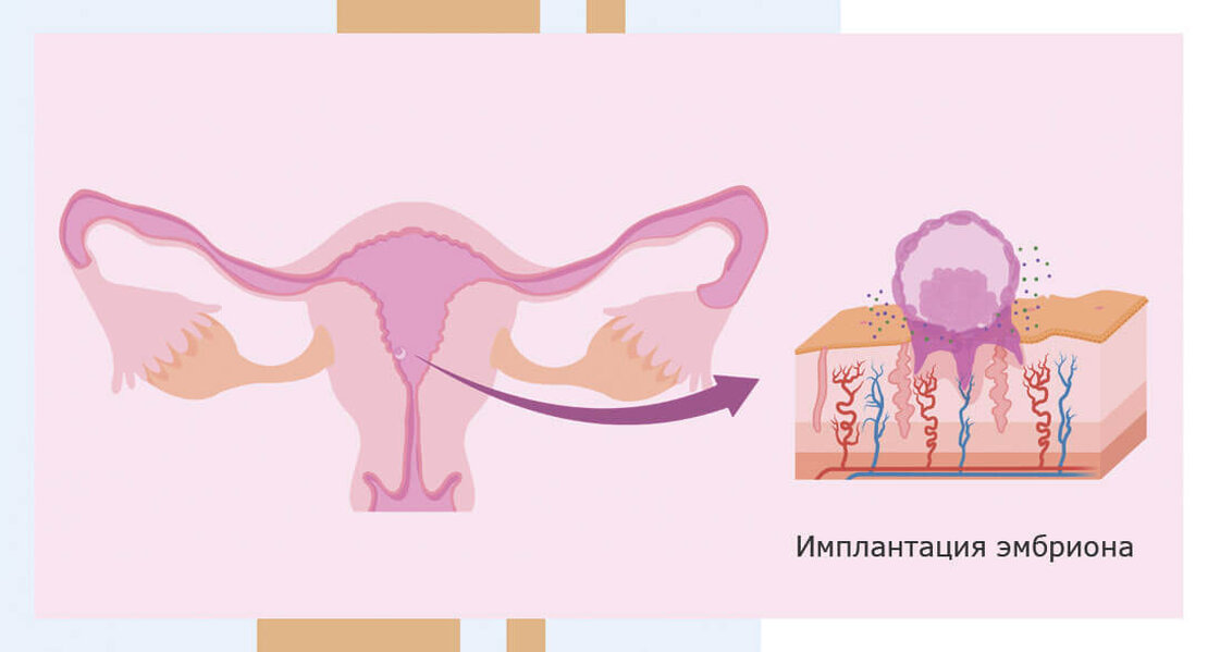 Секс С Двумя Забеременеть