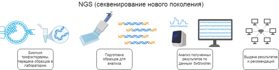 NGS — секвенирование нового поколения: этапы исследования