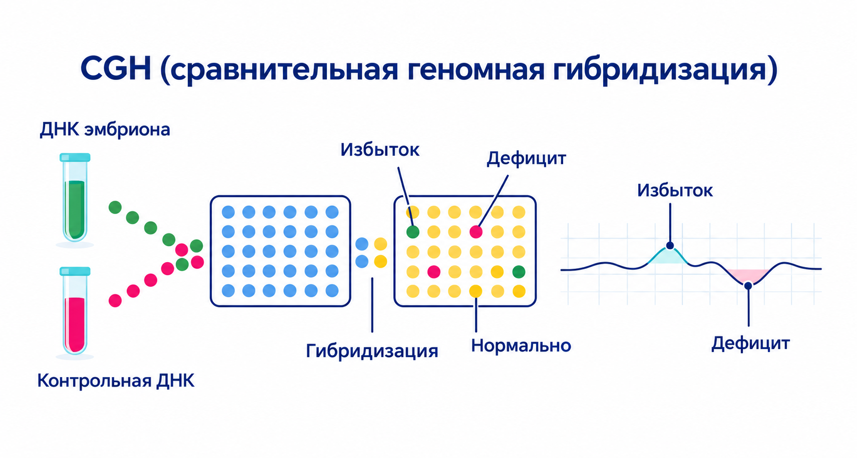 CGH — сравнительная геномная гибридизация