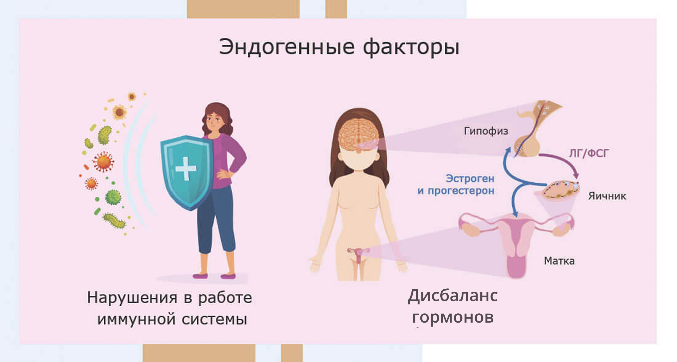 Причины развития лейкоплакии шейки матки - Изображение №2