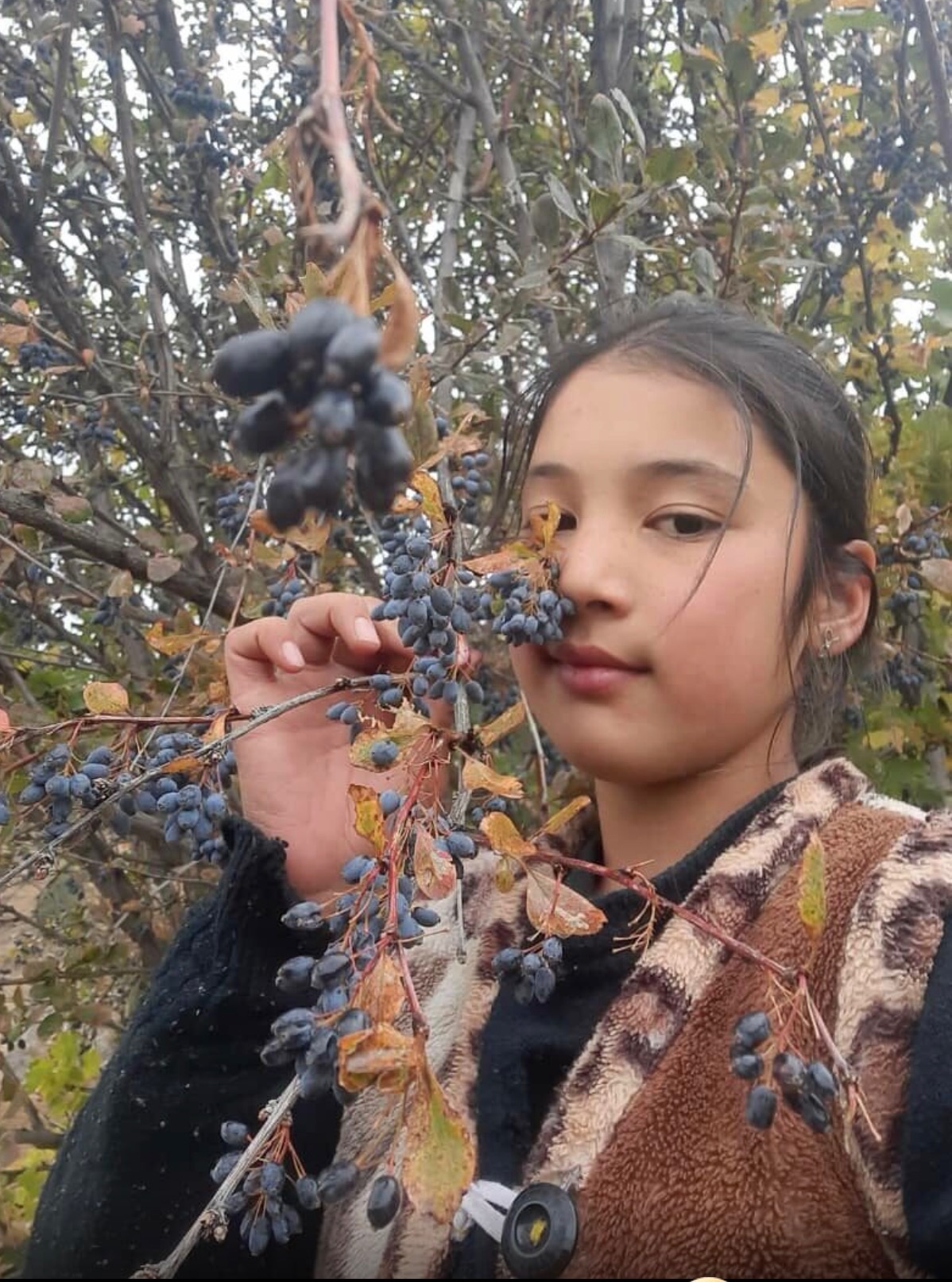 Донор ооцитов №69577